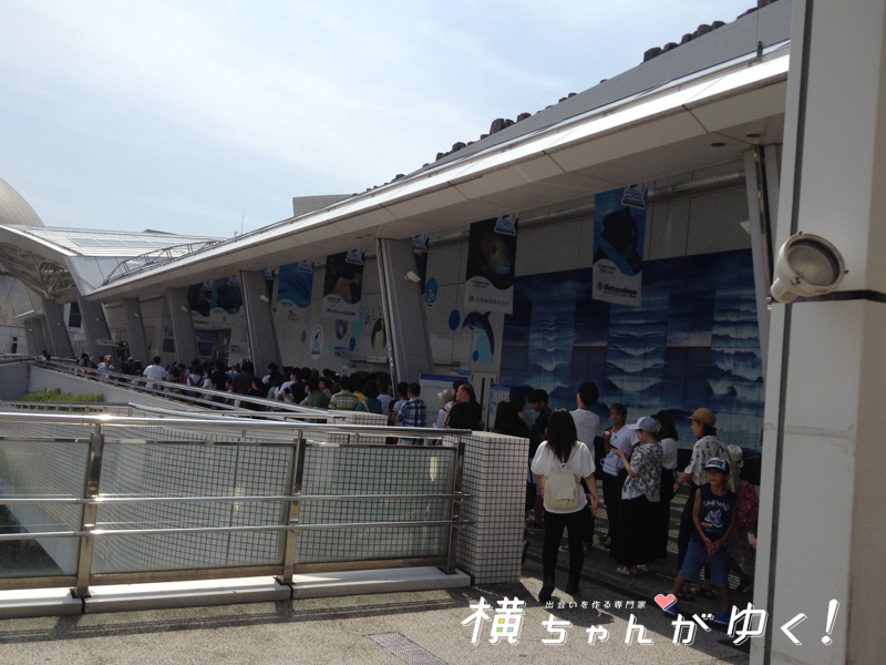 名古屋港水族館8