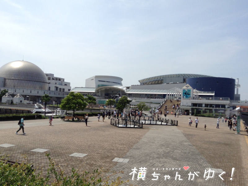 名古屋港水族館5