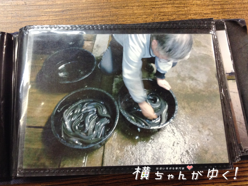 鰻17