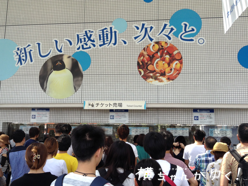 名古屋港水族館9