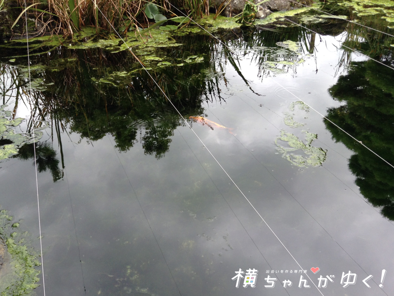 景色2