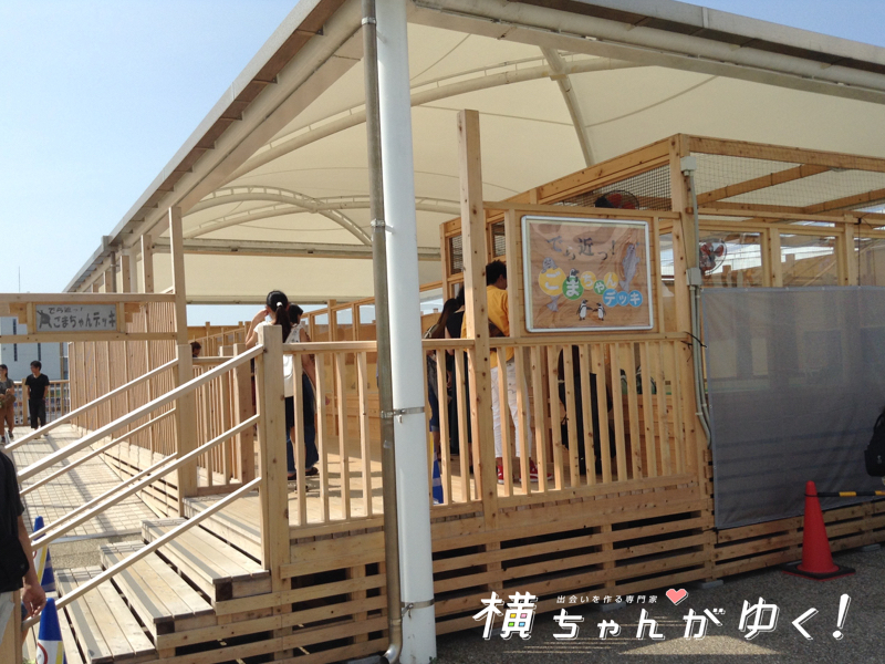 名古屋港水族館24