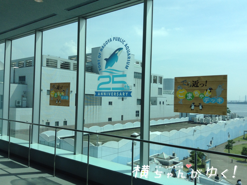 名古屋港水族館18