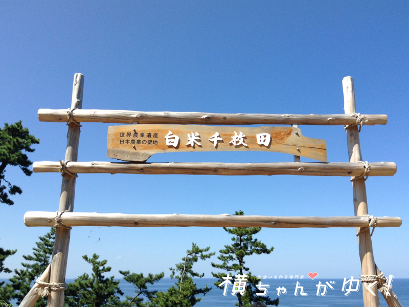 千枚田6
