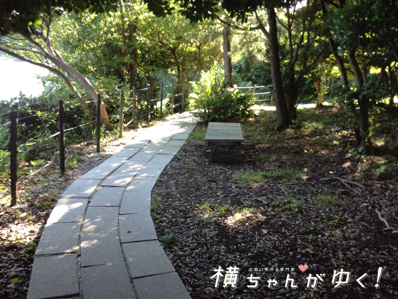 聖域の岬22