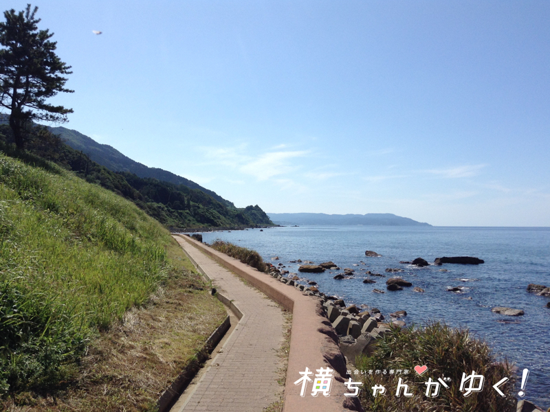 千枚田18