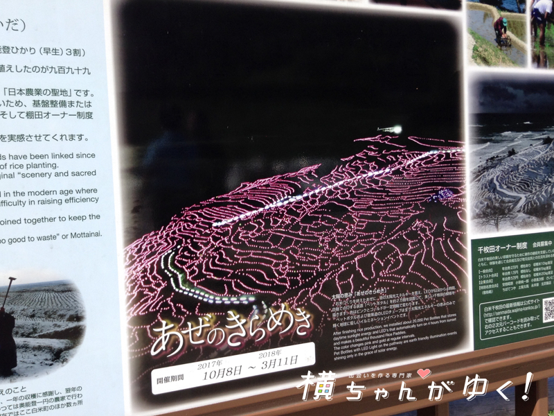 千枚田ライトアップ
