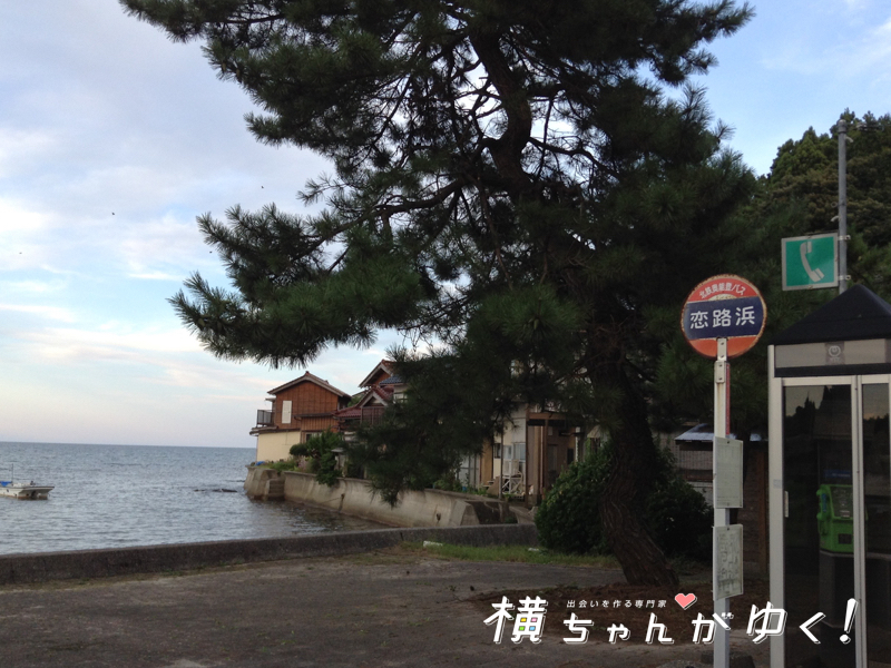 恋路海岸12