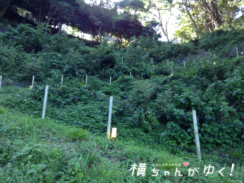 青の洞窟11