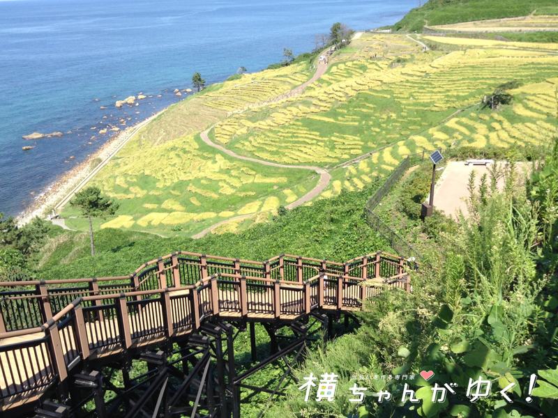 千枚田まとめ2