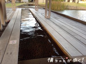 えんがわ10