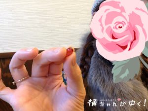バラ14