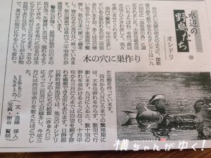 オシドリとは2