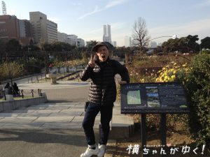 薔薇部山下公園