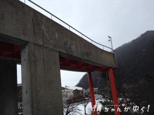 鯉恋の宮25