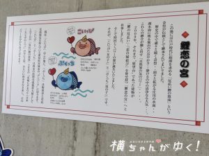 鯉恋の宮11