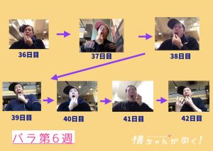薔薇第6週