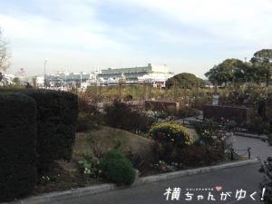 山下公園4