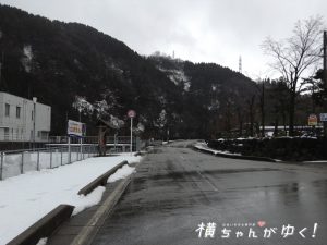 鯉恋の宮3