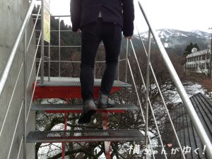 鯉恋の宮26