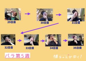 薔薇第5週