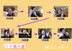 薔薇第8週