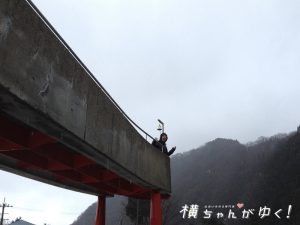 鯉恋の宮29