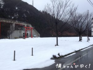 鯉恋の宮3