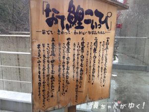 鯉恋の宮23