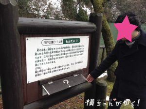 鯉恋の宮20