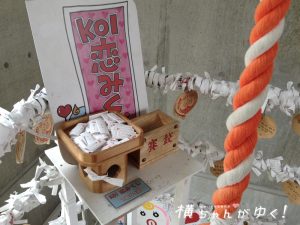 鯉恋の宮12