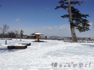 伊達政宗3