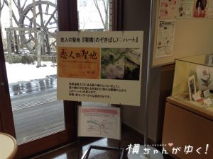 関センター5