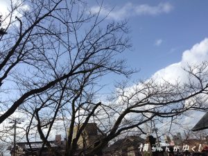 節分祭18