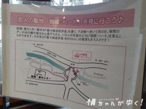 関センター6