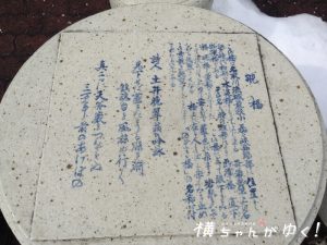 のぞきばし3
