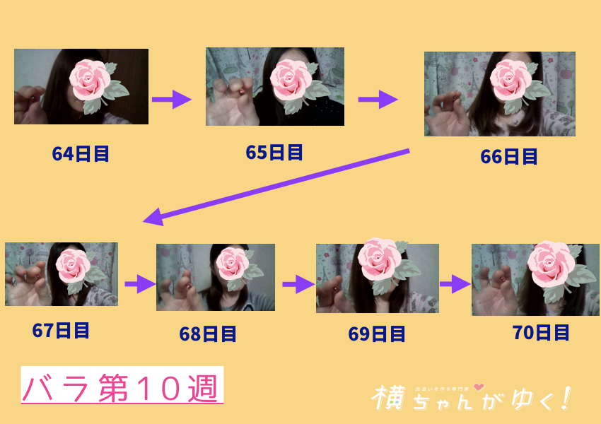 薔薇10週目