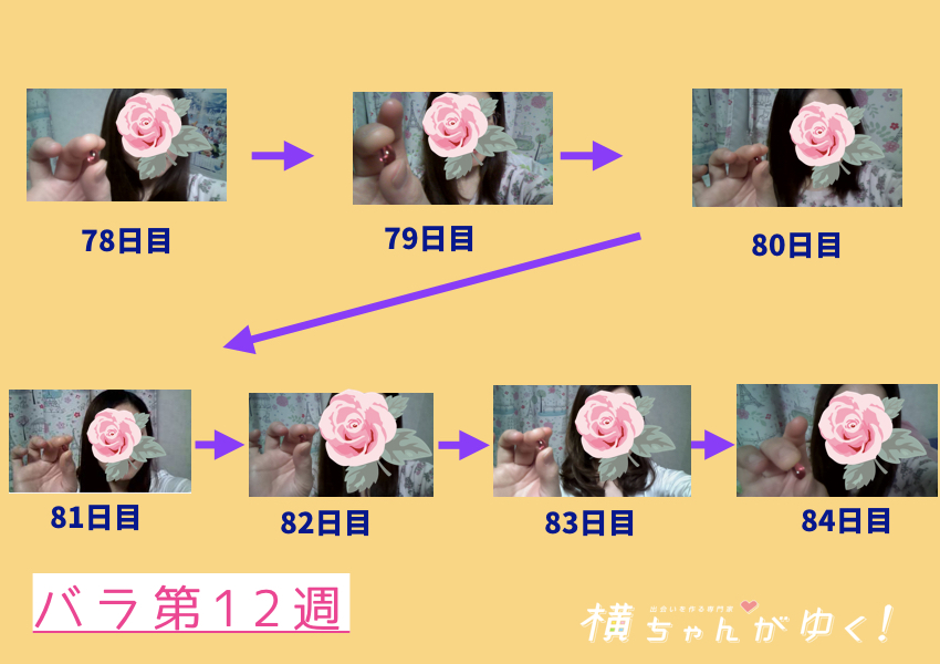 薔薇12週目