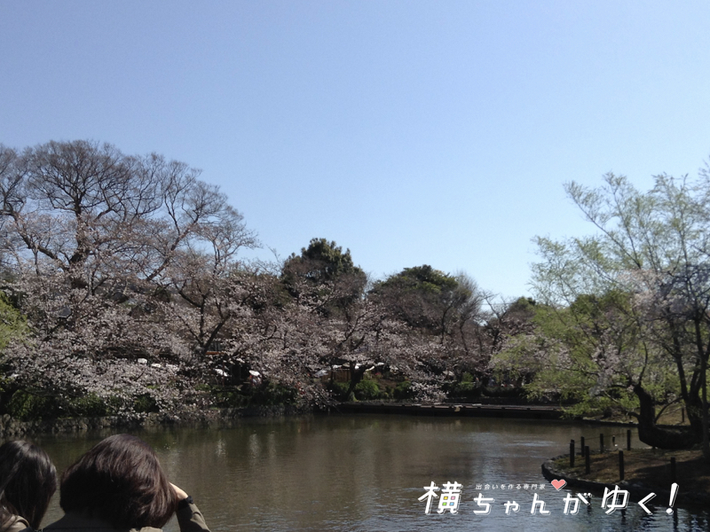 鶴岡八幡宮16