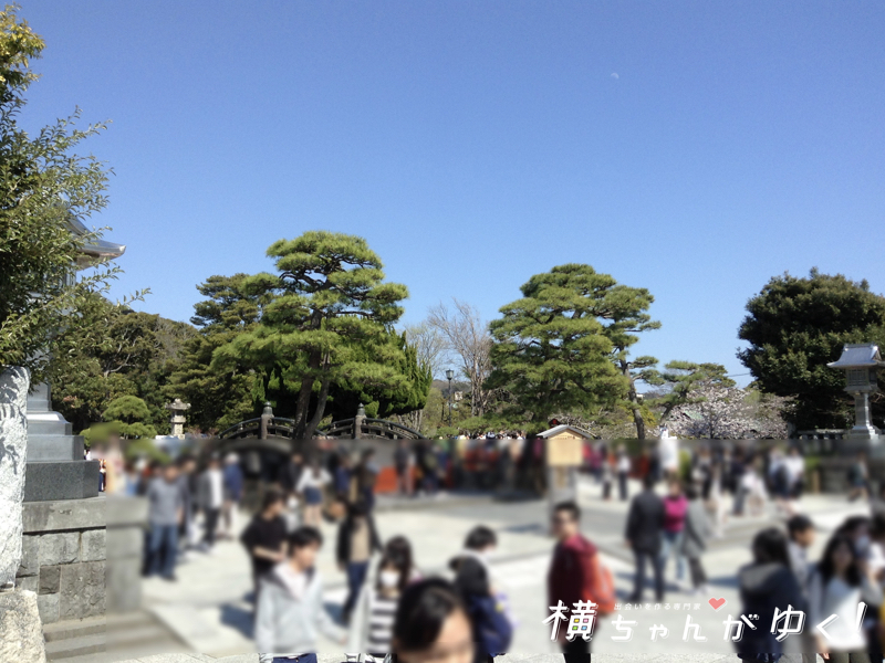鶴岡八幡宮3