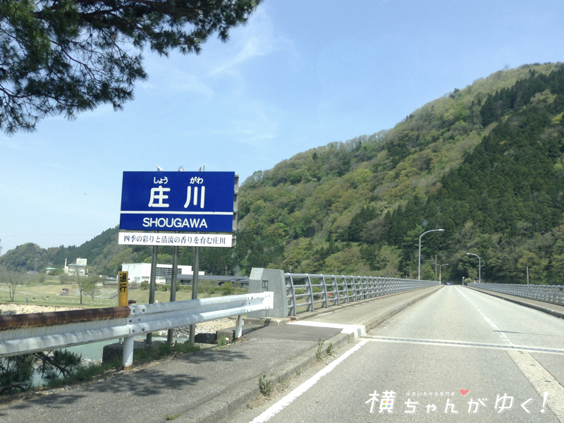 やまぶき1