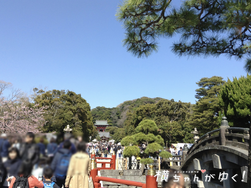 鶴岡八幡宮4