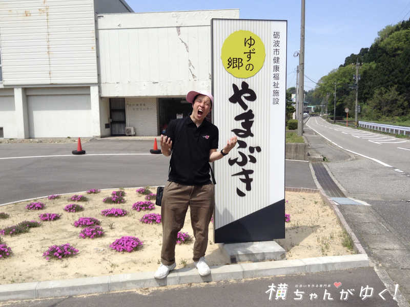 やまぶき
