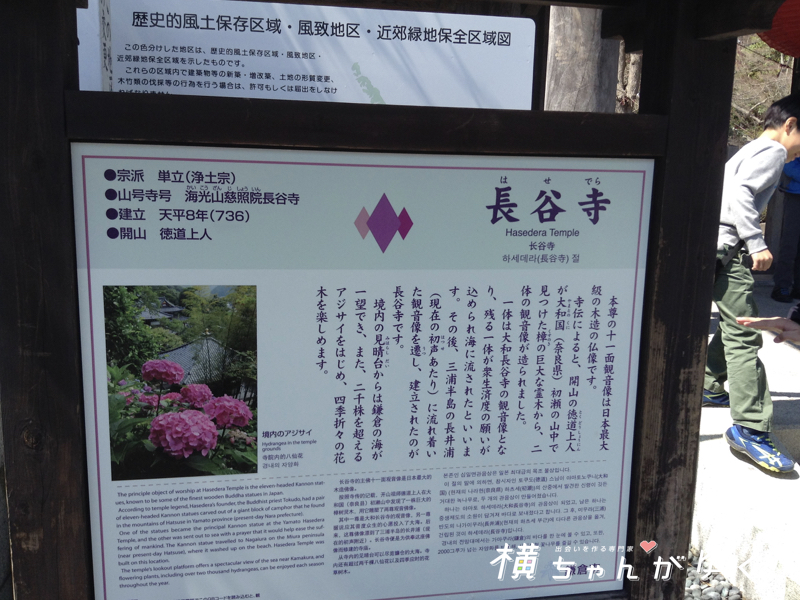 長谷寺1