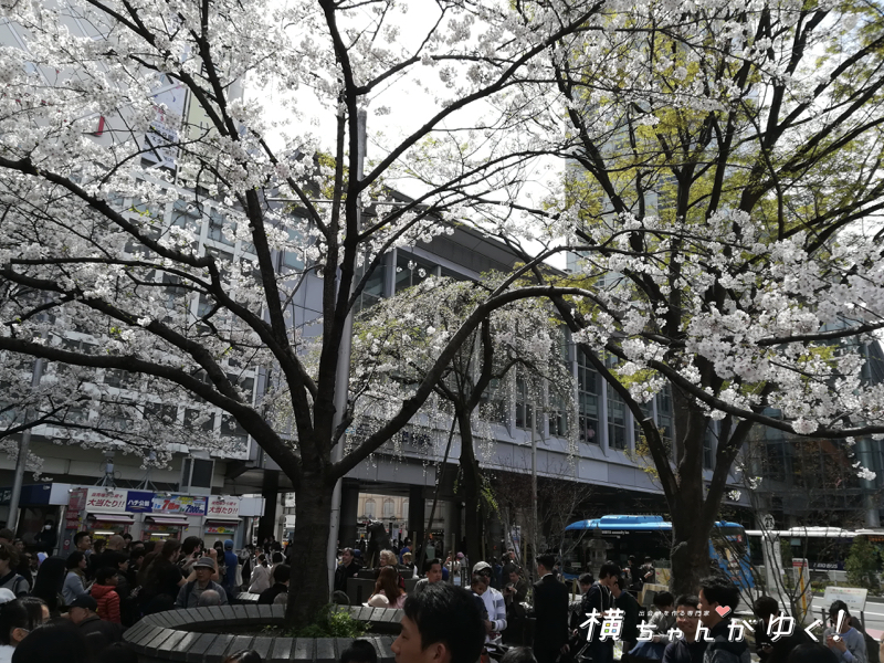 渋谷駅2