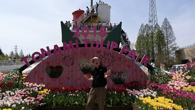 チューリップ