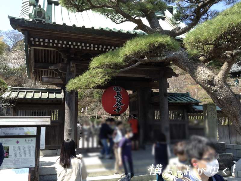長谷寺1