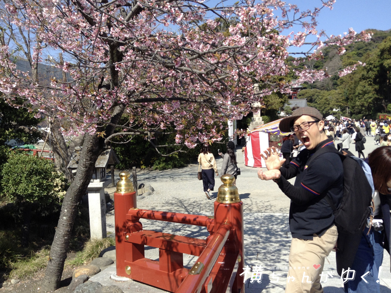 鶴岡八幡宮5