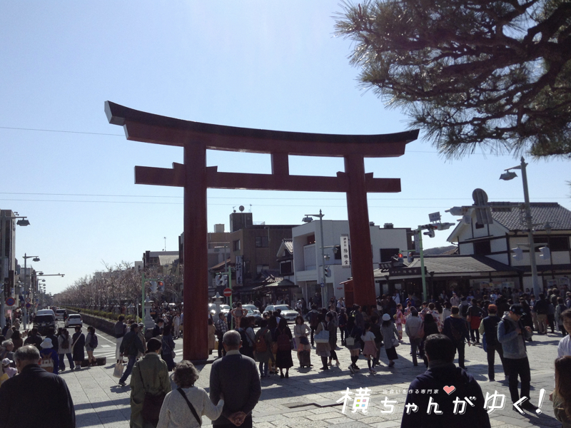 鶴岡八幡宮ラスト2