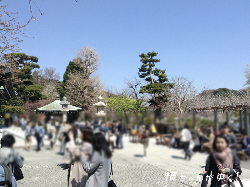 長谷寺10